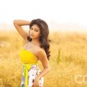Celebrity Cricket League Calendar Photoshoot 2012