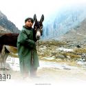 Tahaan: Movie Wallpapers