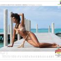 Liza Haydon October The Kingfisher Calendar 2011